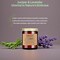 Funny Birthday Gifts for Women, Friends, Juniper Lavender Scented Soy Wax Candle- Birthday Gifts Ideas for Wife, Husband, Grandparents, 9oz, 50 Hours Burn